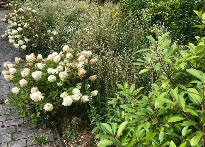 Willa Vewoe Seeklang Velden am Wörthersee